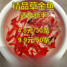 С���~�ˮ�^�p�~��С�~����ˮ�~��С�\�����P�������Lˮ�~