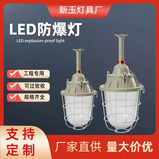 LED防爆灯工厂车间照明工矿厂房仓库灯隔爆型灯250型加油站专用灯