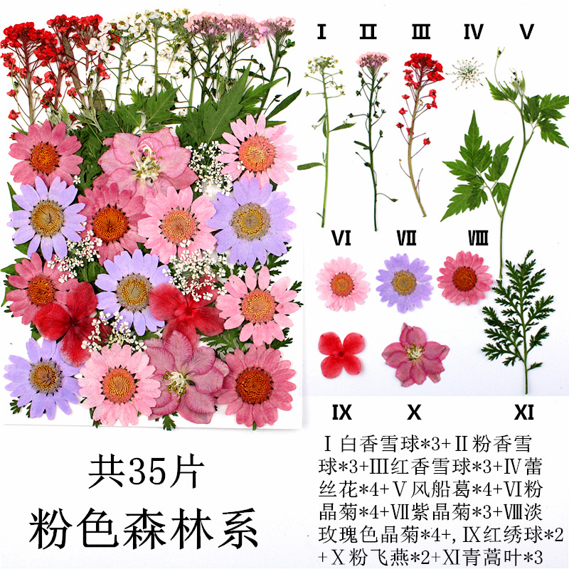 Paquete de material de estampado de flores secas Paquete de combinación de flores presionadas Flor real Hoja de espécimen pegatinas
