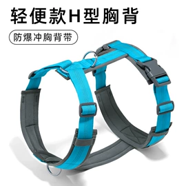 狗狗牵引;宠物项圈;猫猫牵引