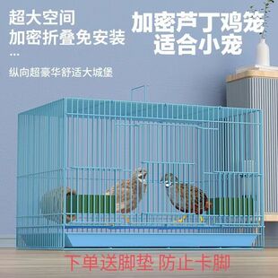 �J���u�\�ӌ����u�������g���\���ô�̖���ܿ��ۯB�\�r�u�r���\