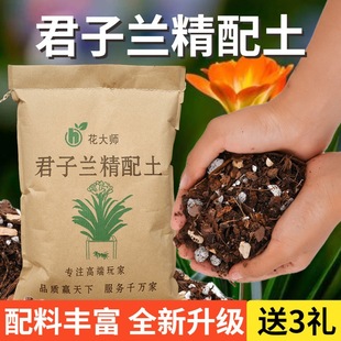 Special Soil for Clivia, Nutrient Soil, Orchid Soil, Humus, Decomposed Leaf Soil, Potted Planting Fertilizer, Loose Soil, Household Breathable Soil