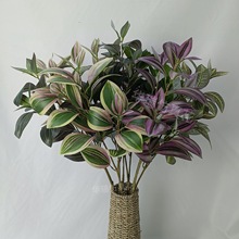 GֲL֧25zƬĿü~Gɫֲb҃ȲþGֲ滨