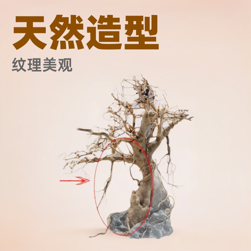 Small Rhododendron Branches for Aquascaping, Root Decorations for Micro-Landscapes, Vine-Like Ornamental Rhododendron Root Branches