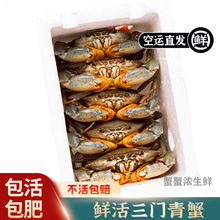 三门特产青蟹鲜活新鲜膏蟹野生猷蠓超大红鲟特大青蟹送礼零售批发