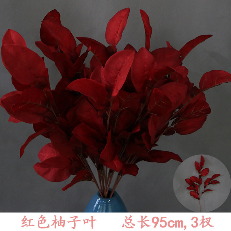 빨간 자몽 잎 한 가지