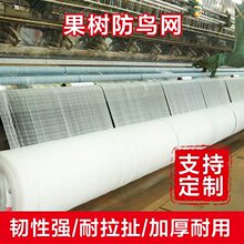 加粗加密防鸟网专用网大棚葡萄防鸟网40目大棚果园防虫网围网