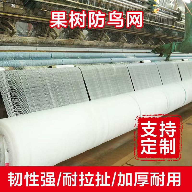 加粗加密防鸟网专用网大棚葡萄防鸟网40目大棚果园防虫网围网