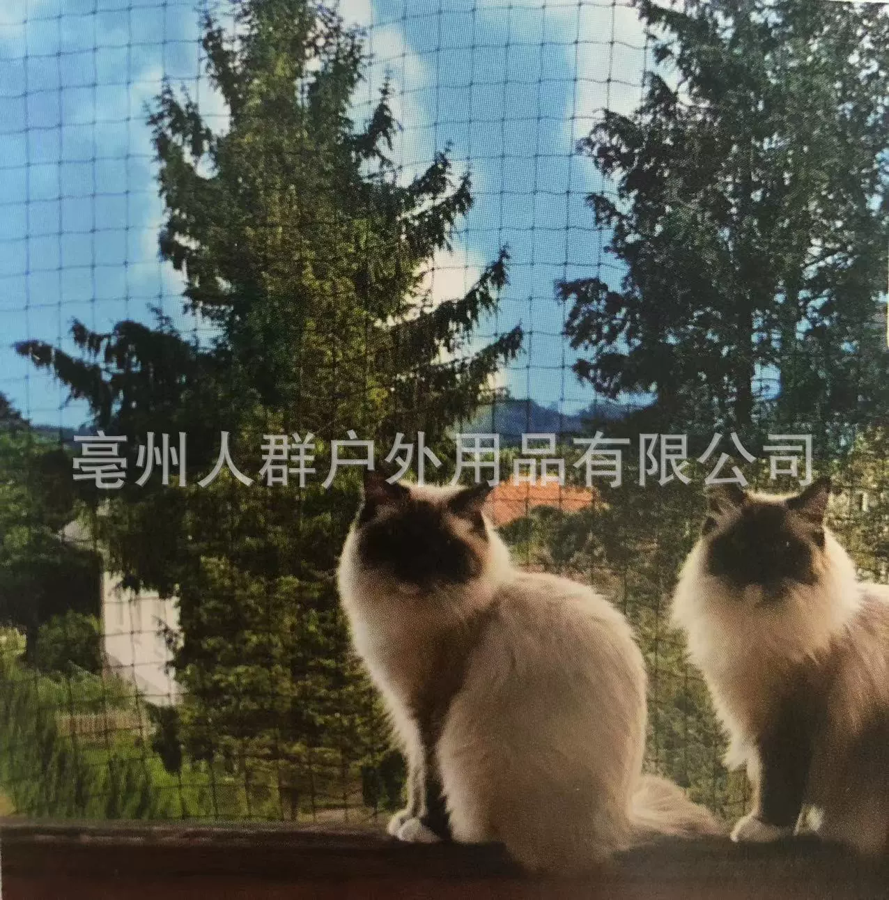 ПЭТ чистая анти-птица чистая анти-кошка чистый забор собака кошка балкон защитная сетка