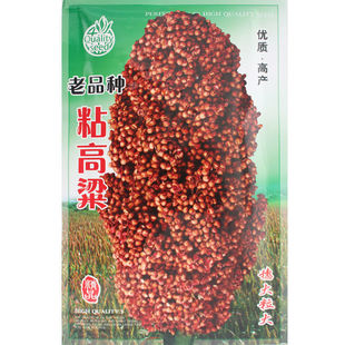 ճŴ�����N�� ճŴ��Ŵճ�� ���������߮aᄾƸ����������������