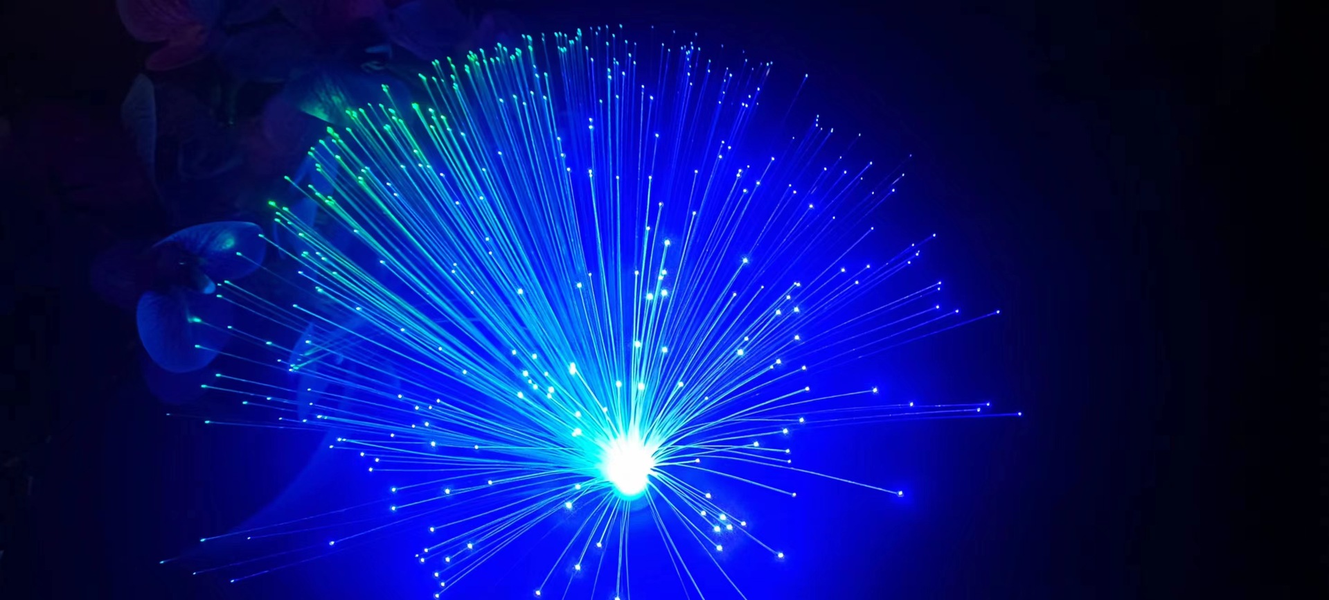 微信图片_20230315164314