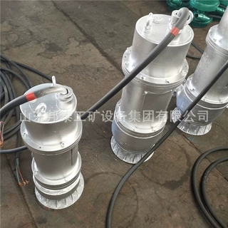 BQS50-175-55kw矿用隔爆型潜水排沙电泵 660/1140v防爆排污泵配件