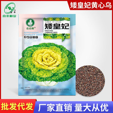 SĞNӞ˷NѰײ˷Nջ˷Nﶬͺ߲