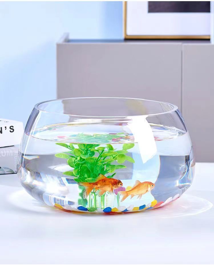 df45f813-0721-480c-8992-9bb0d9da203f.jpe