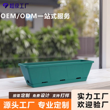 ���ƻ����L���ηN����խ�L�l�҃��̨�Gֲ���⻨�ܺ��s��֬��