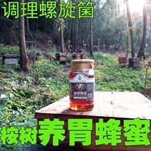 桉树蜂蜜纯正农家土纯峰糖詹氏红柳结晶蜜螺旋杆胃茶菌食品