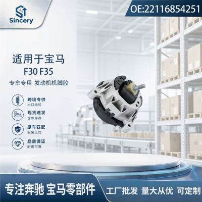 Suitable for BMW F30 Suspension and Shock Absorber Systems