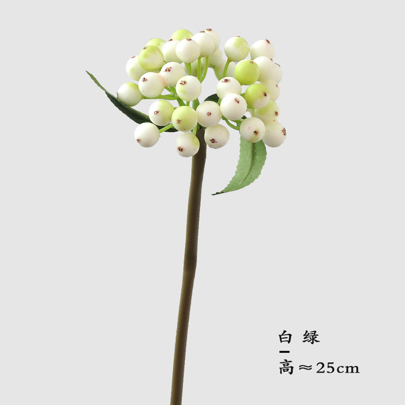 흰색 녹색