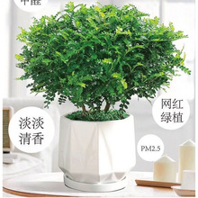 ںľþGֲ҃ȺBhMļ_Ϙ辰