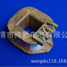 �����l��CJ12-100/AC380V������|����Ȧ