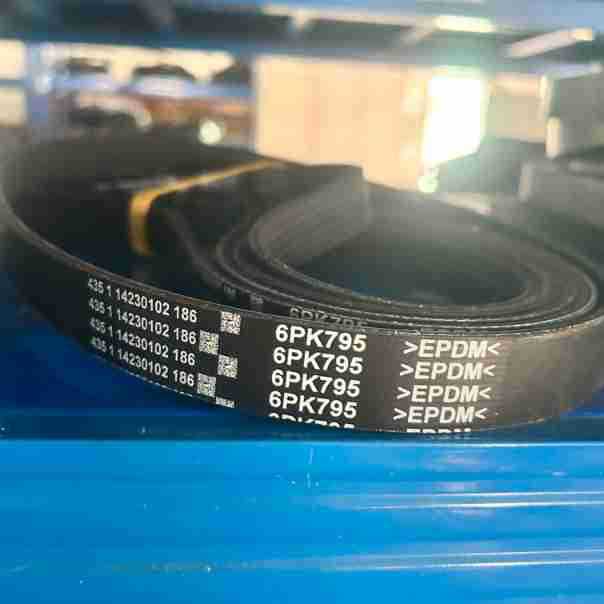 6Pk795/Automobile Transmission Belt/Multi-Ribbed Belt/Pk Belt/Generator Belt/Epdm Belt