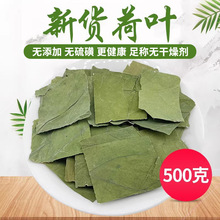 中药材新鲜荷叶无硫天然方片 荷叶茶荷叶 干荷叶片完整无碎500克g
