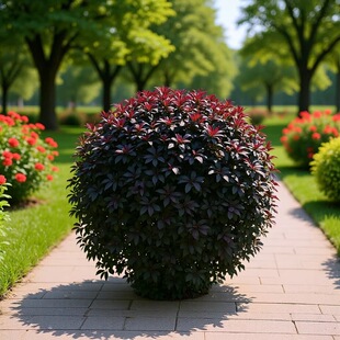 �t�~���� �t�~��� �t�~�����  �t�~��С��  ͥԺ�@�־G������