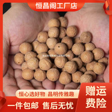 厂家包邮尼泊尔凤眼菩提散珠原籽念珠藏式108佛珠菩提子