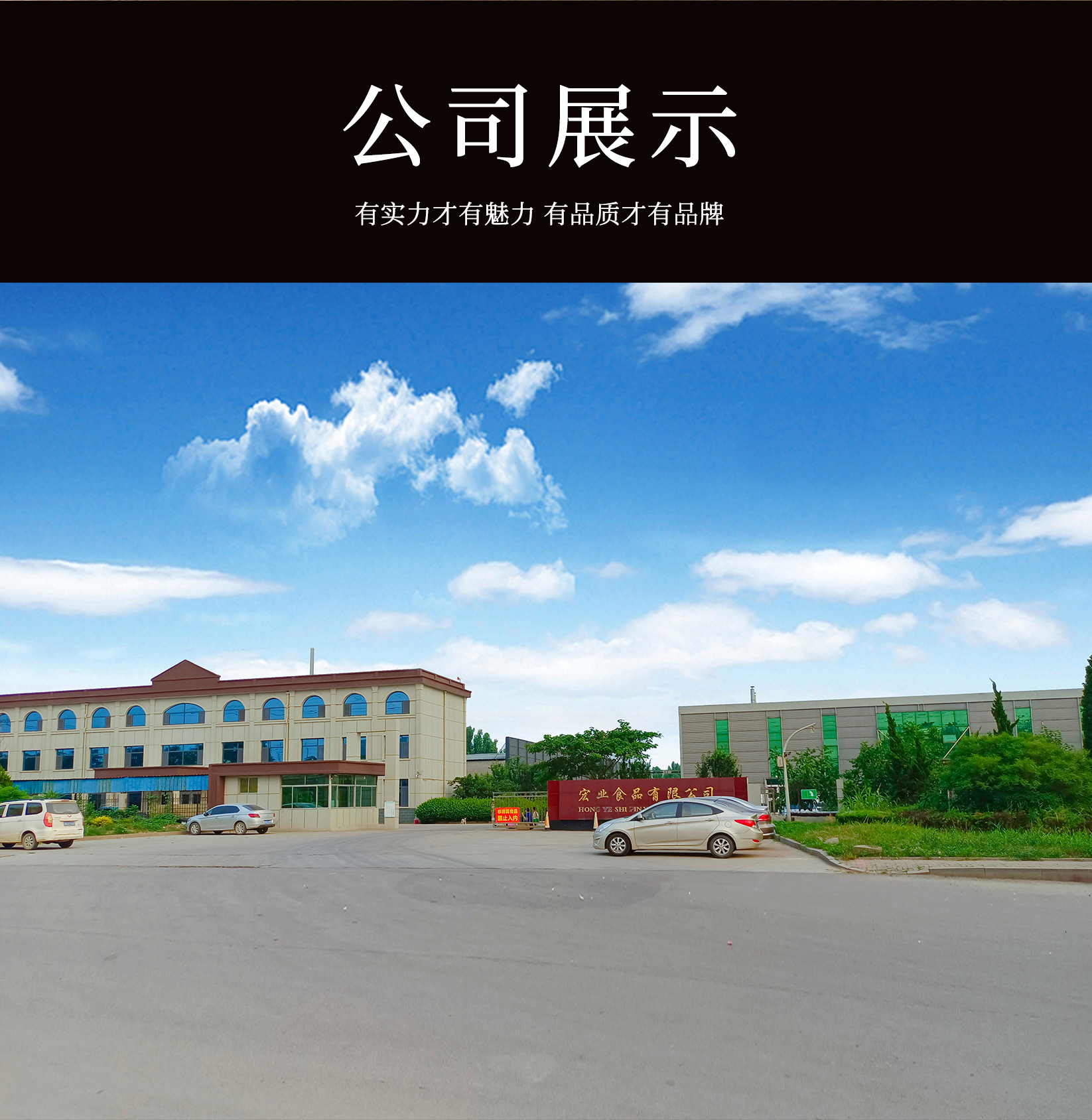 黑爪公鸡20220805_07
