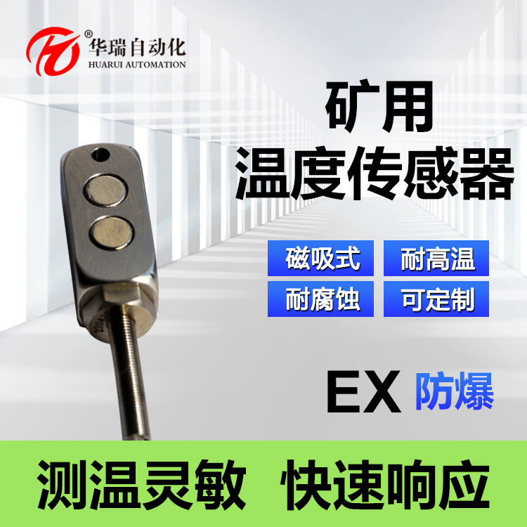 华瑞GWP200不锈钢铂电阻感温仪井下防爆温度传感器磁吸式温度探头