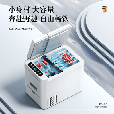 Soyuducular, 12V 24V small refrigerator