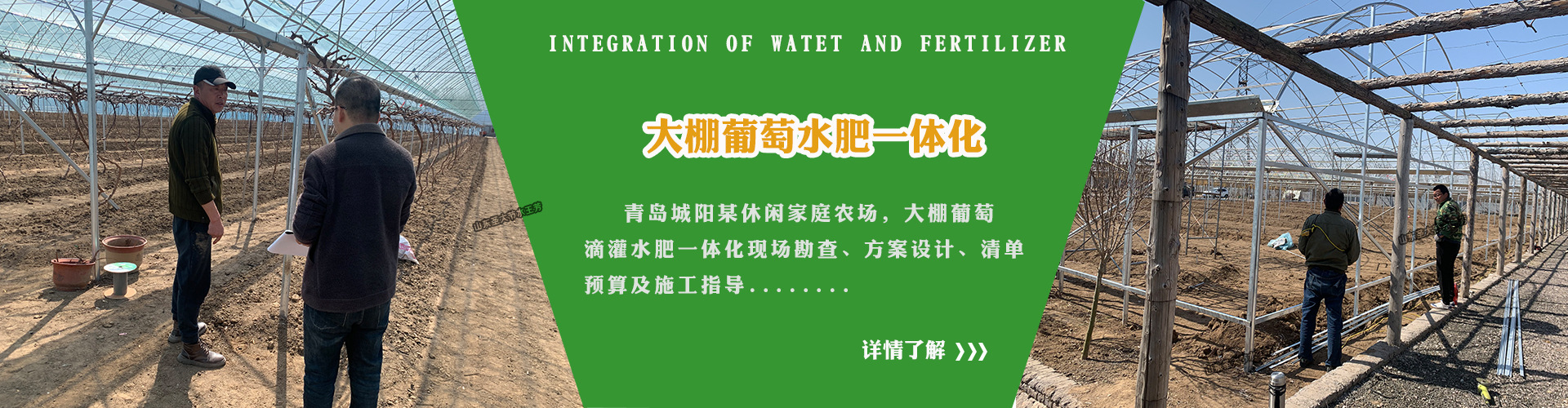 葡萄水肥一体化设计 青岛城阳大棚滴灌清单预算施工全自动施肥机