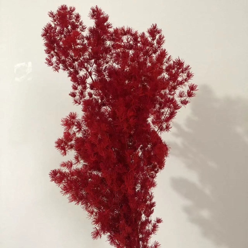 永遠のドライフラワー蓬莱松プリザーブドフラワー diy 花束手作り素材ギフト花素材結婚式ホームフラワーアレンジメント装飾|undefined