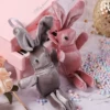 The gift box comes with a wishing rabbit--(single photo will not be sent)