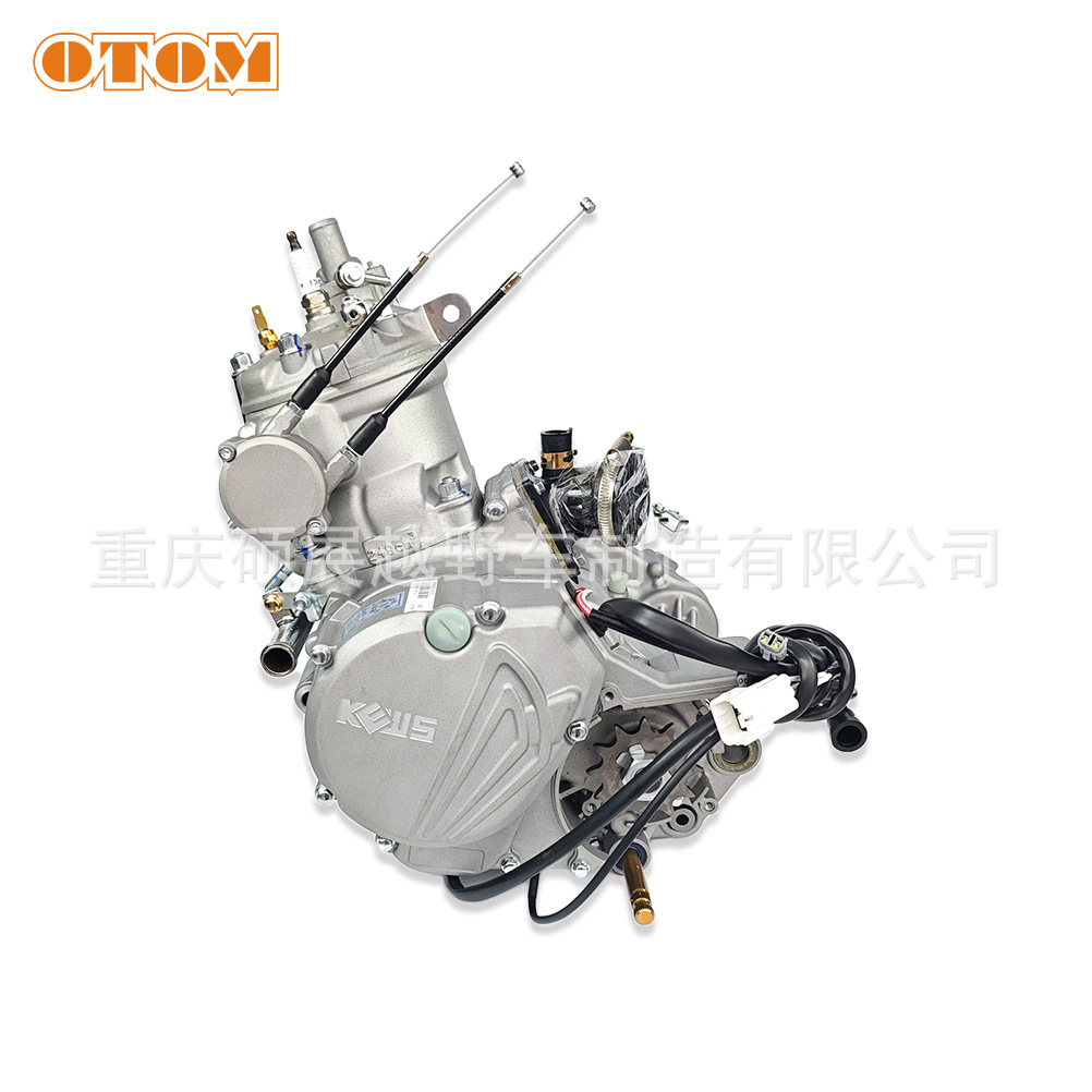 克維思髮動機 隆鑫MT250 1.jpg