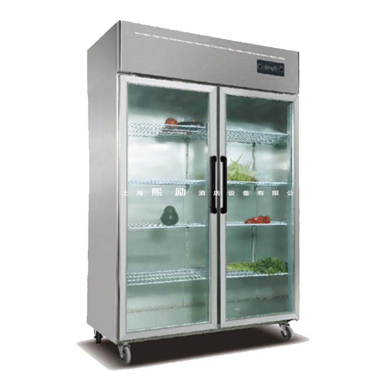 拉斯贝姆/LASBEM超市冷冻双门展示柜 直冷大二门陈列柜 厨房冰箱