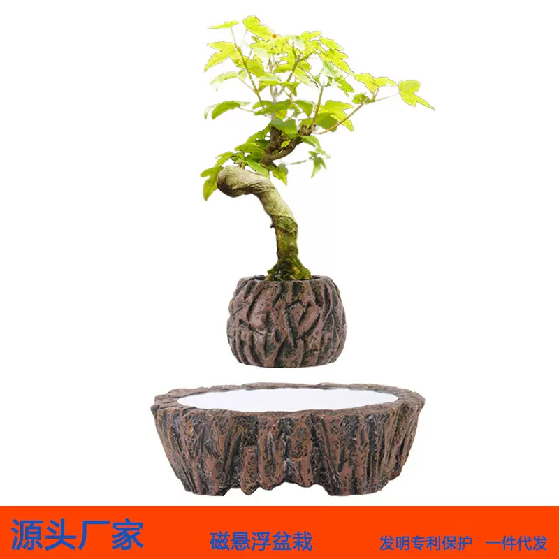 磁悬浮盆栽家居装饰品创意摆件开业礼物微型植物盆景花盆工厂直销