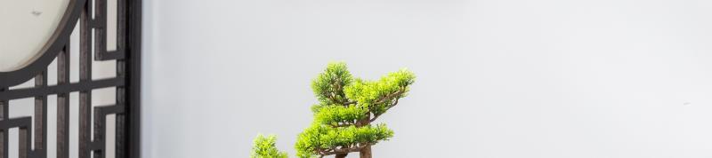 df2c1435-cede-472e-9018-875d5fc34979.jpe