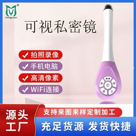 内窥镜;数码摄像头