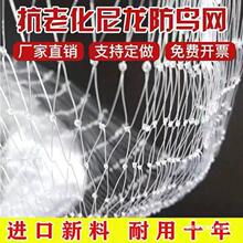 防鸟用网果园防鸟网天网果树樱桃葡萄鱼塘大棚防护尼龙网养殖网