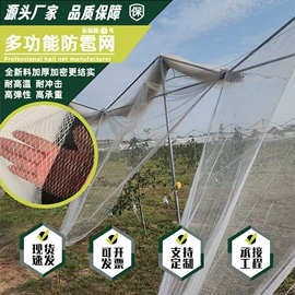 遮阳网;防鸟网;防雹网