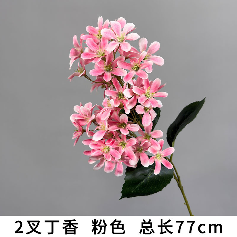 2 forks of cloves "new model recommendation"