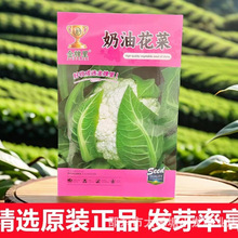 奶油花菜种子松花菜种籽西兰花种孑花椰菜籽原装四季蔬菜种子大全