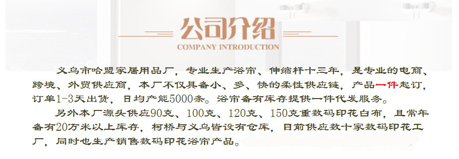 公司介绍1