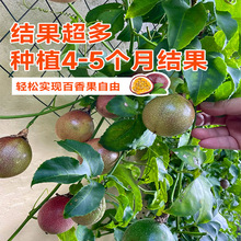 �������������Ԙ����Ϸ�����ͥԺ�S��ˮ����Nֲ���ļ��Y�����B