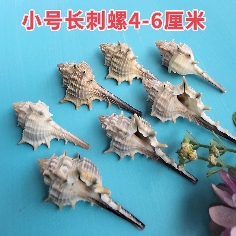 MEITU_20250403_093420166