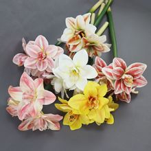 仿真PU材质君子兰朱顶红 仿真花家居玄关装饰花假花插花摆件摄影