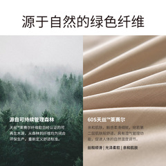 天絲純色床笠式四件套床單素色套件60紗支P5601
