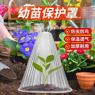 �߲�ֲ���ֹ������������������������籣�ط��x���B��˪���o��