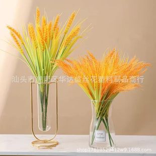 �������뵾��@�ֹ����b�����ٻ���@�L�r����ˮ���Ĕz�������l